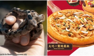 snake pizza hong kong