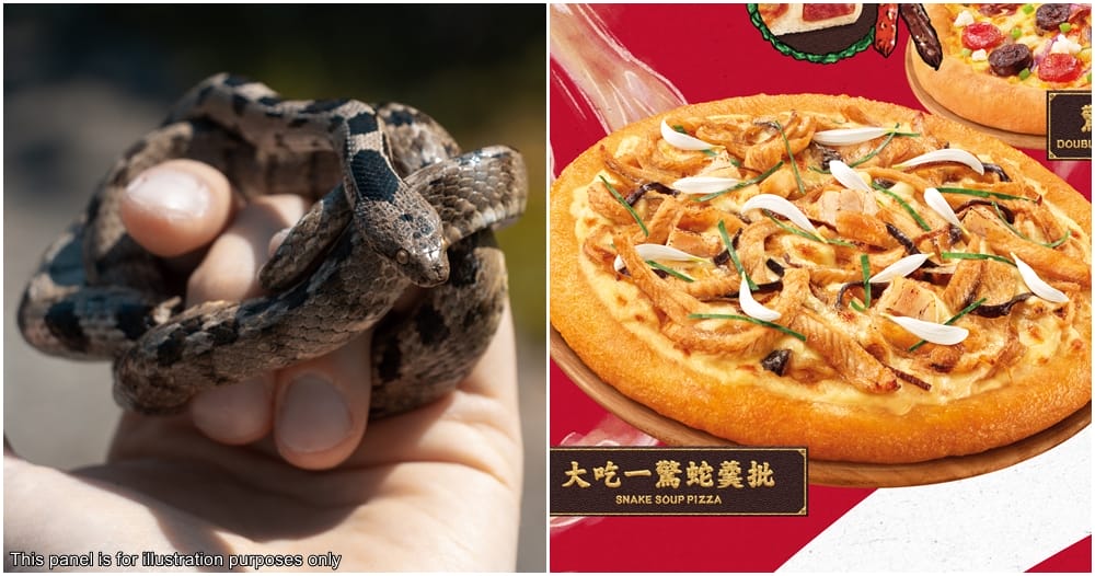 snake pizza hong kong