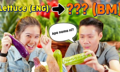 vege bm names thumbnail