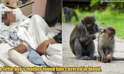 My Post 1 2023 12 25T100853.065