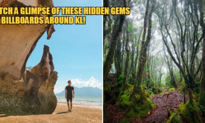 WOB Samsung Stra feat 2