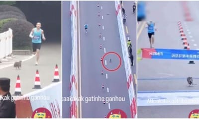 cat win marathon china
