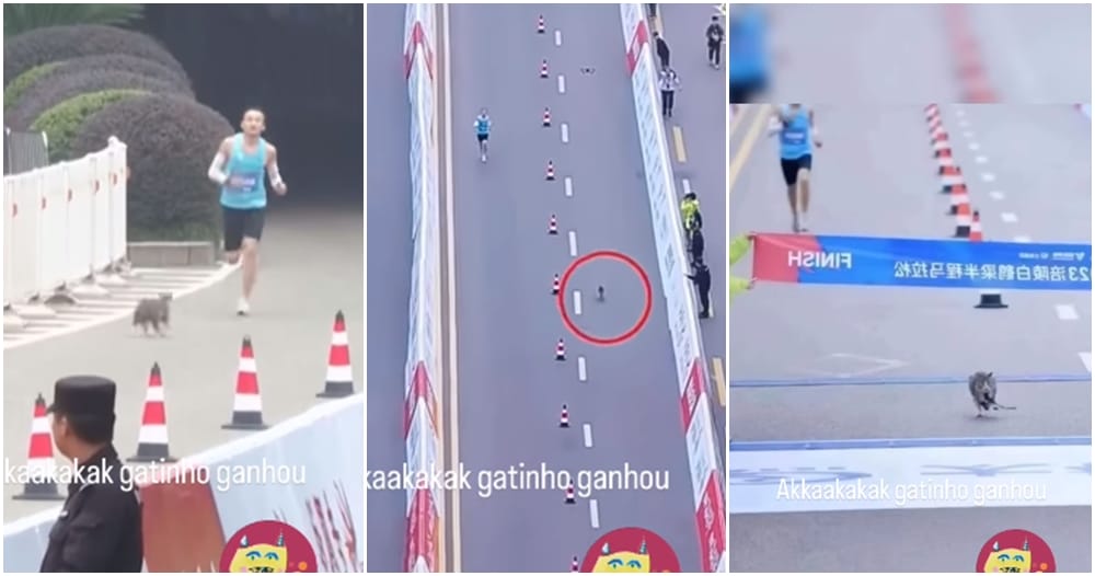 cat win marathon china