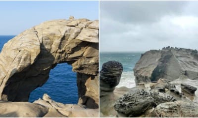 elephant trunk rock ft