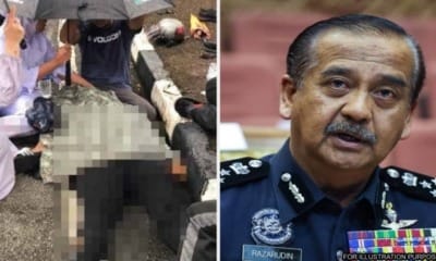 feat image igp assures case transparent