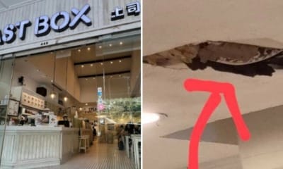 feat image python toast box