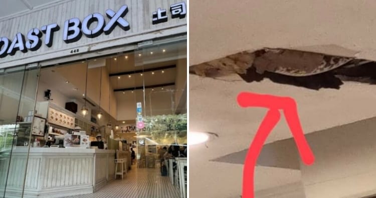 feat image python toast