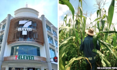 7ElevenLocal Header 4