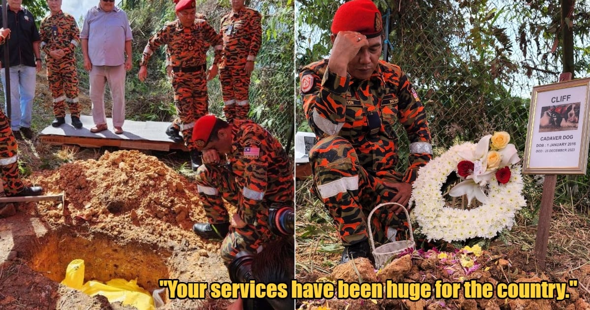 My Post 1 2024 01 05T080841.283