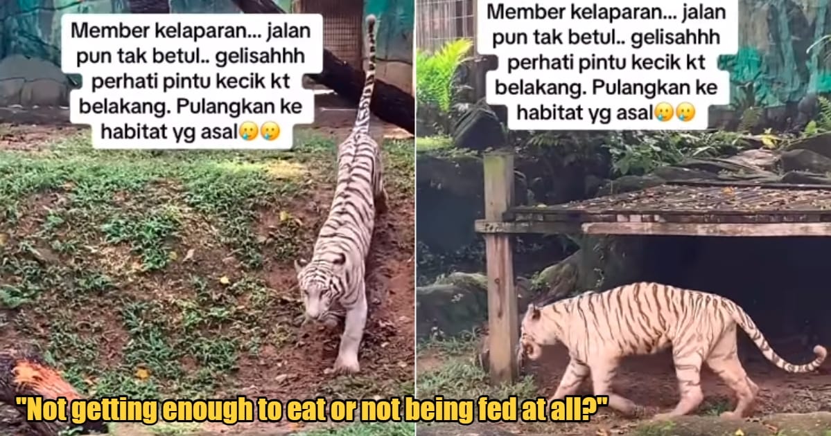 My Post 1 2024 01 08T135726.657