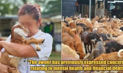 My Post 1 2024 01 18T101312.888