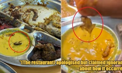 My Post 1 2024 01 19T161725.552