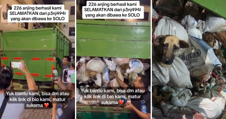 feat image indonesia police rescue dog