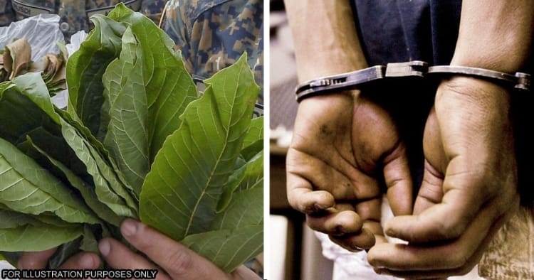 feat image ketum police