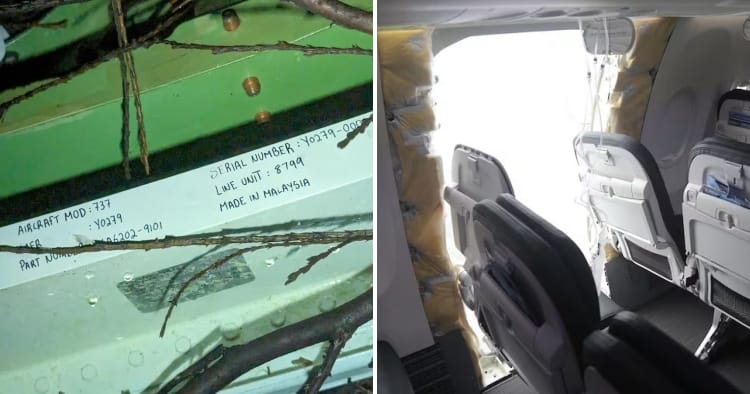 feat image made in malaysia