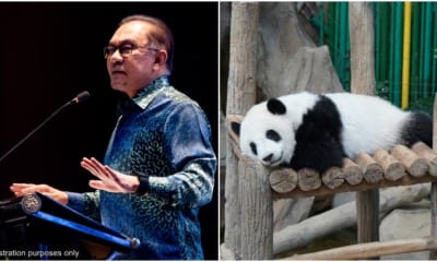 loan duration extension panda