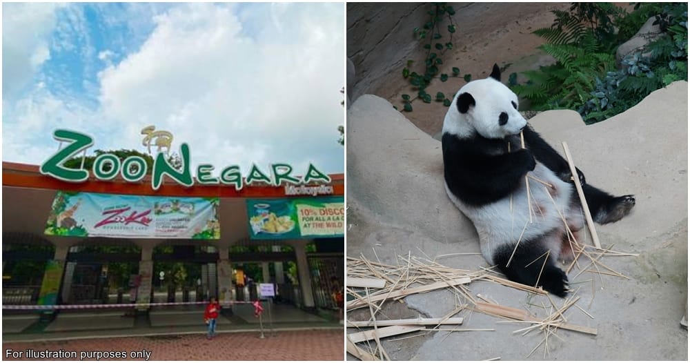 zoo negara free entry