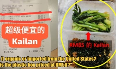 My Post 1 2024 02 20T163633.953