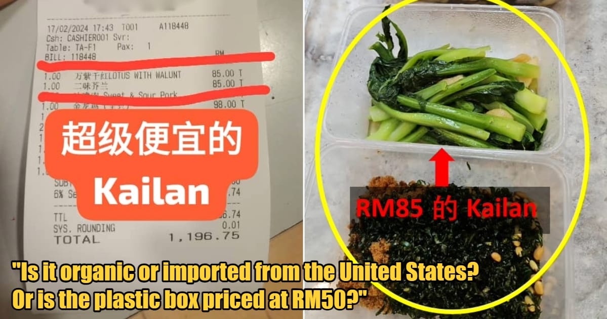 My Post 1 2024 02 20T163633.953