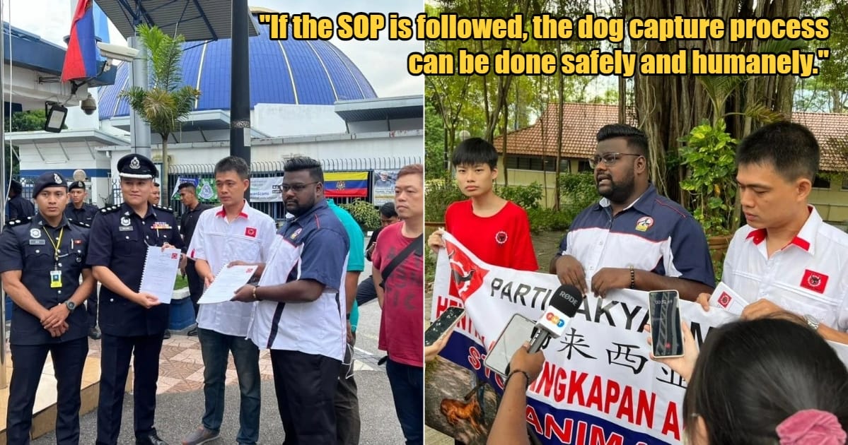 My Post 1 2024 02 28T100215.755