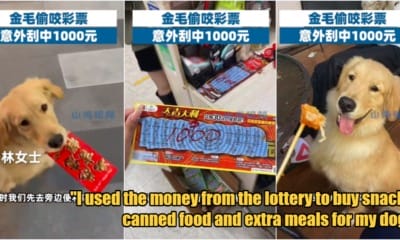 My Post 3 2024 02 21T124727.231