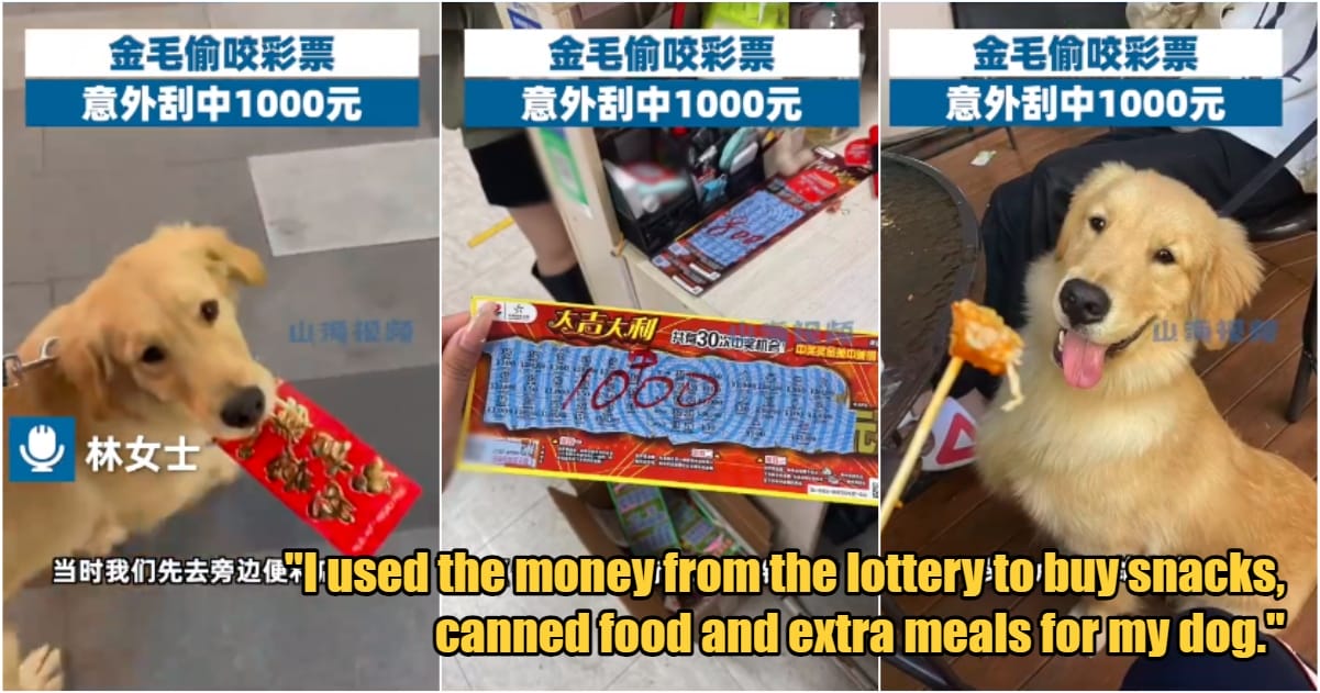 My Post 3 2024 02 21T124727.231