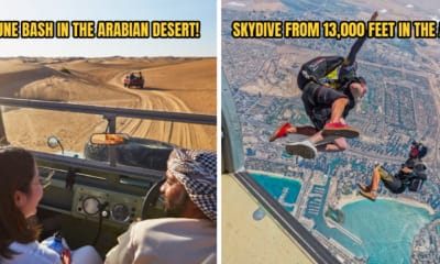 PickATripDubai Header 4