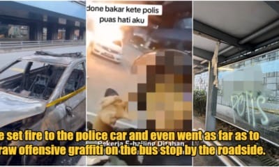 collage1111111111111 1