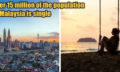 feat image malaysia single population