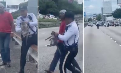 feat image pdrm save monkey