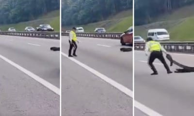 feat image polis remove object