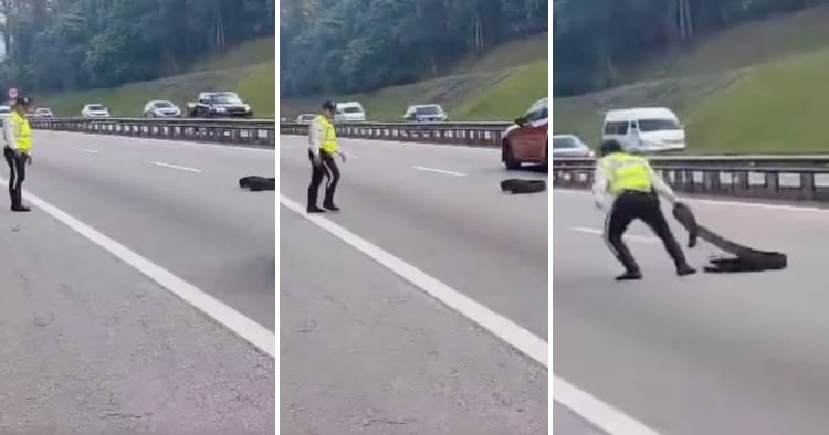 feat image polis remove object