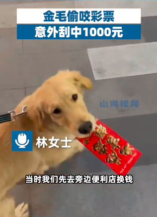 Lottery 1