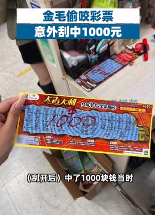 Lottery 2