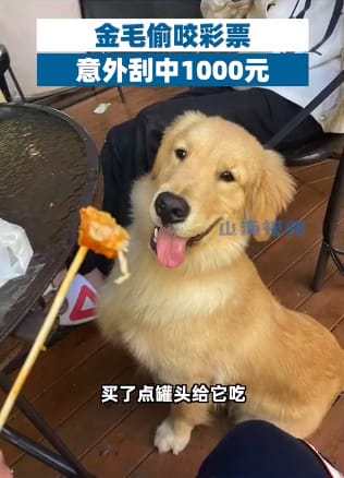 Lottery 3