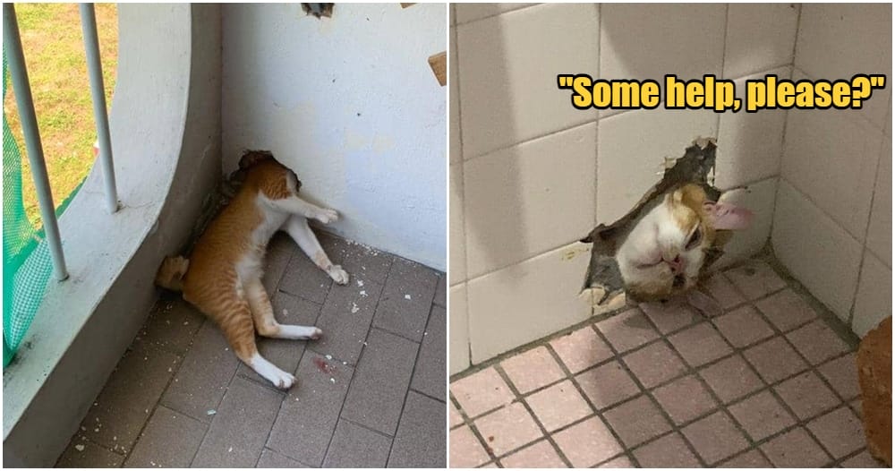 oyen stuck in hole 1