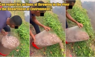 My Post 3 2024 03 04T160718.171