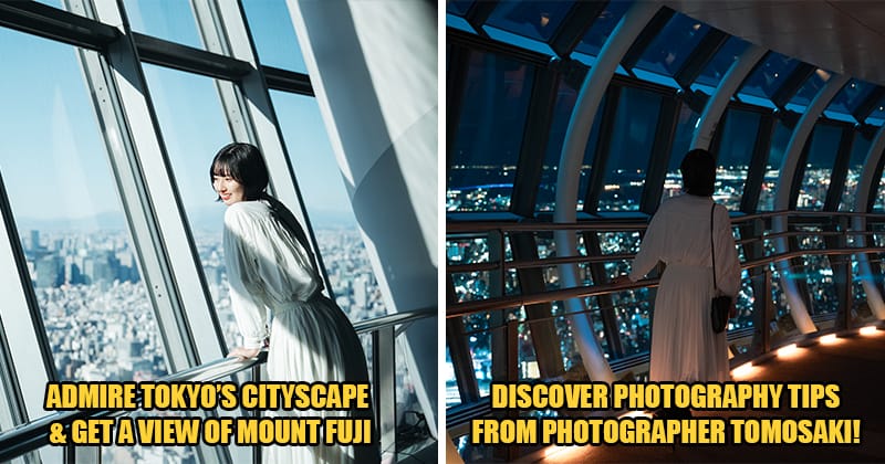 Skytree Feat Image 2