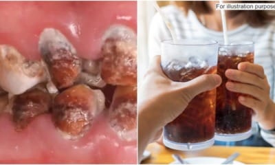 WhatsApp Image 2024 03 02 at 10.50.22 a87eaf0c