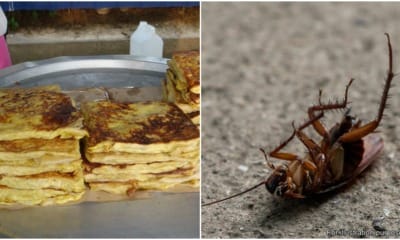 cockroach in murtabak