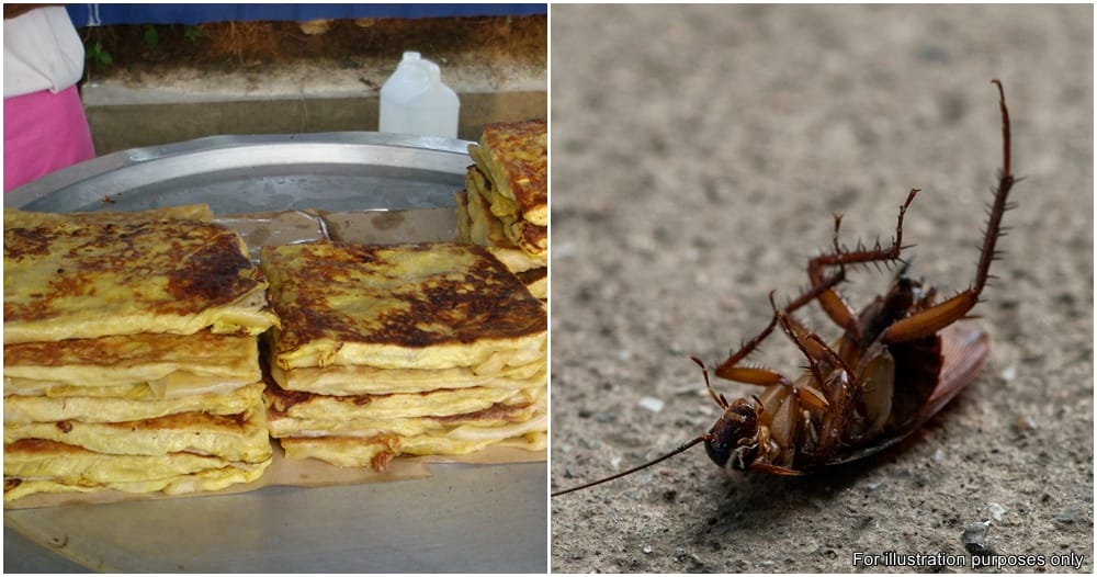 cockroach in murtabak