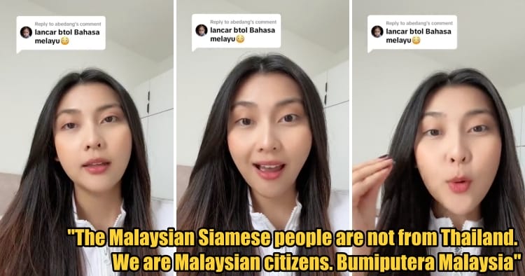feat image cute malaysian siamese