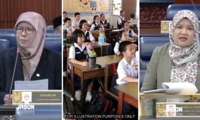 feat image temerloh mp