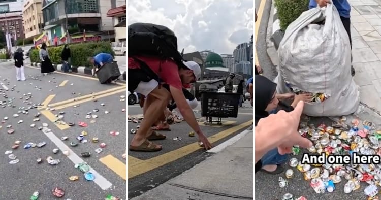 feat image wholesome