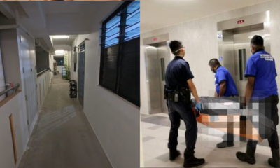 Article Featured Image 6