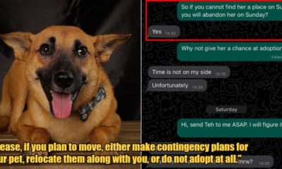 My Post 1 2024 04 04T121411.576