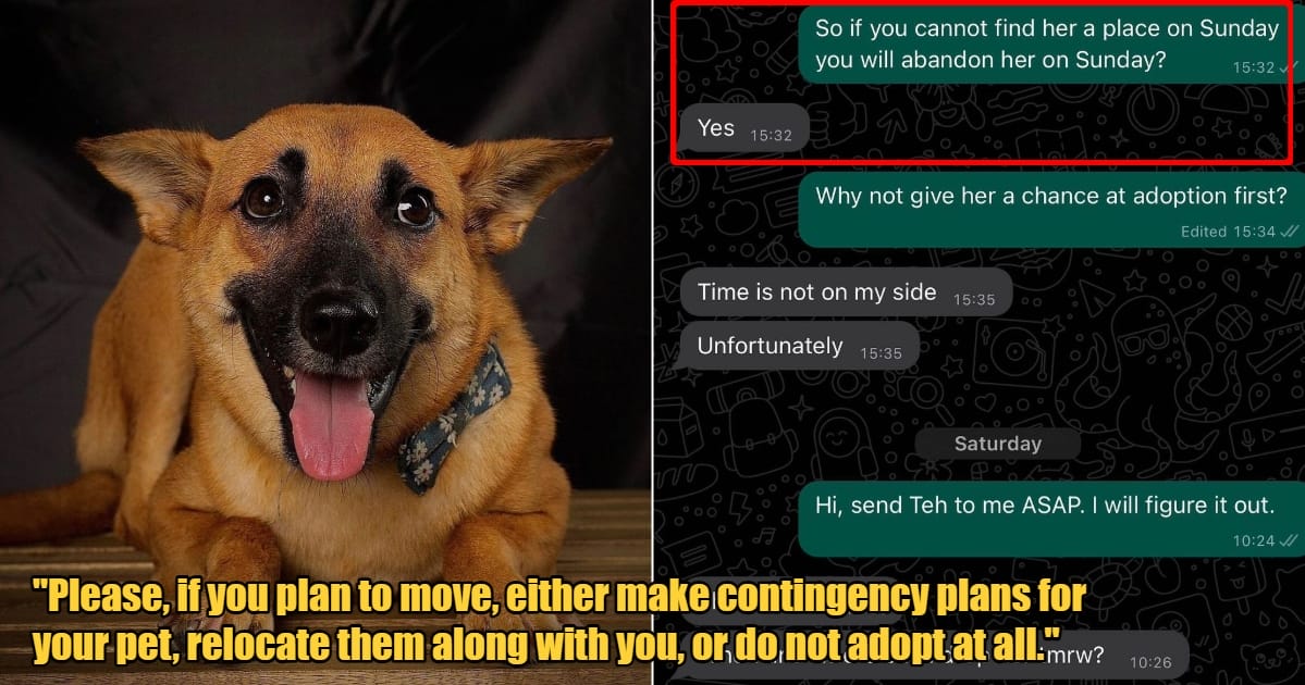 My Post 1 2024 04 04T121411.576