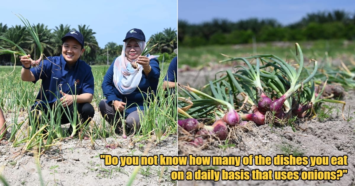 My Post 1 2024 04 04T154300.740