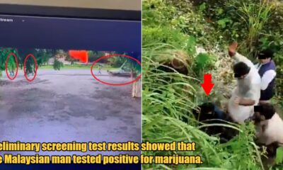 My Post 1 2024 04 12T131155.477