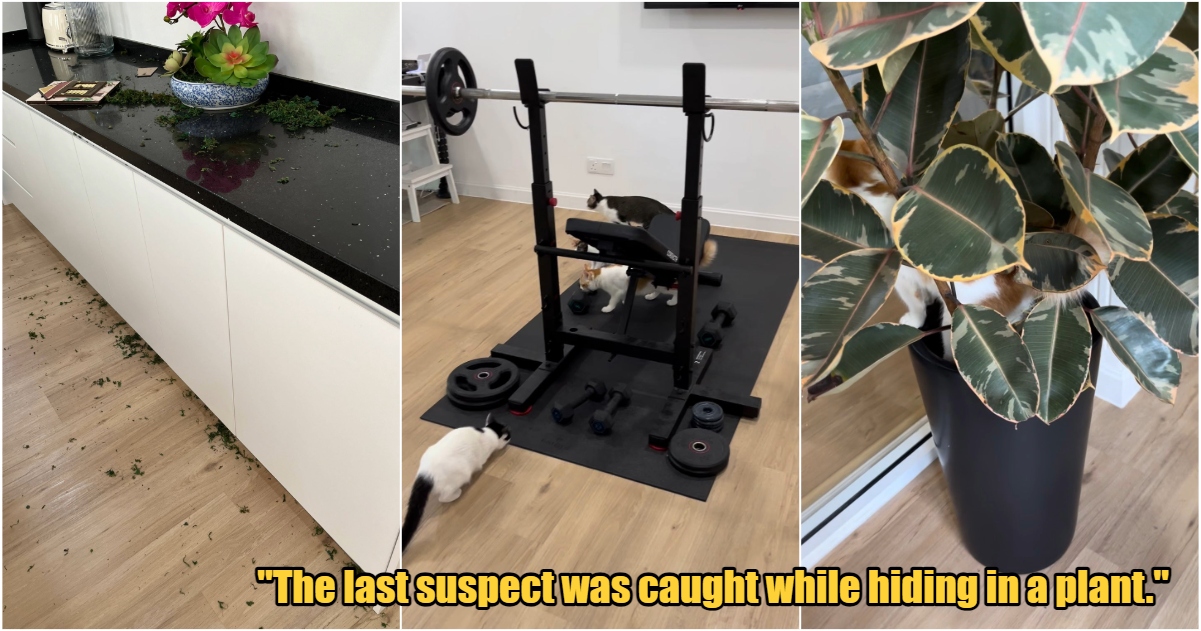 My Post 3 2024 04 12T100906.285